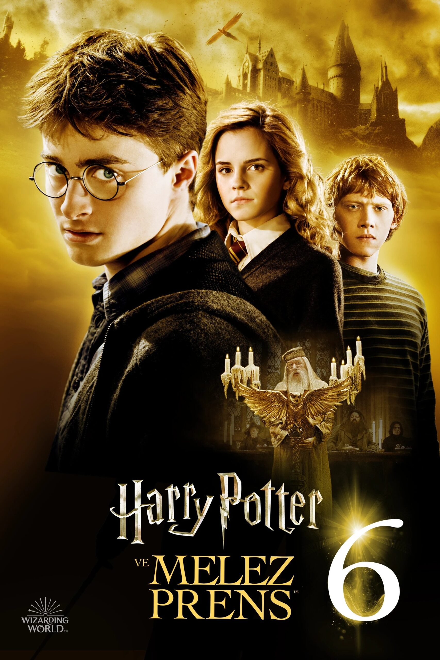 Harry Potter 6