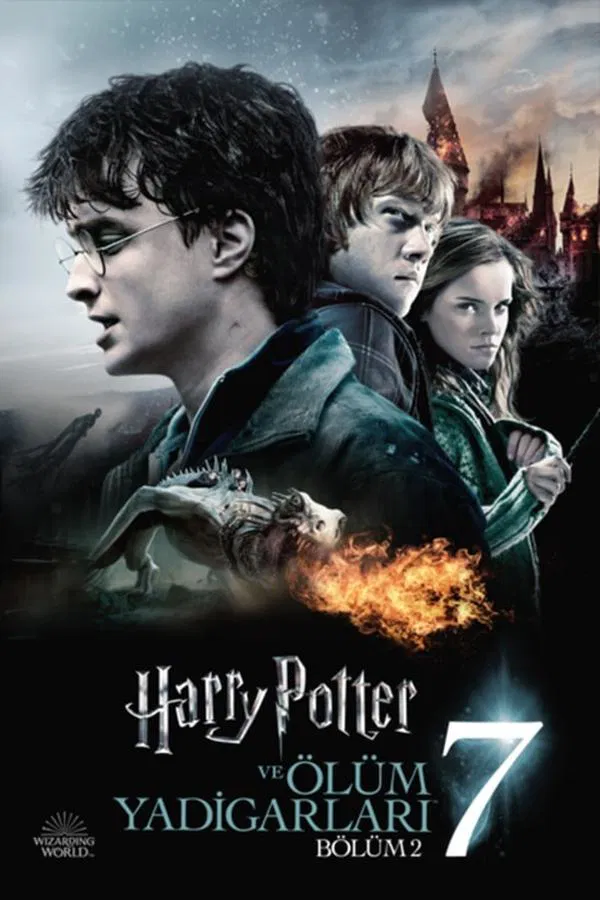 Harry Potter 8